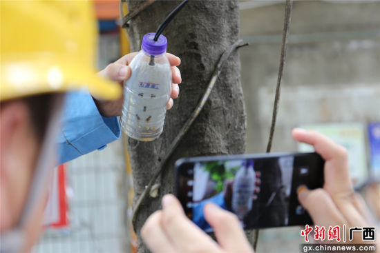 住戶為防止雨天插座漏電而套上的塑料瓶中積水明顯，存在漏電隱患。謝耘 攝